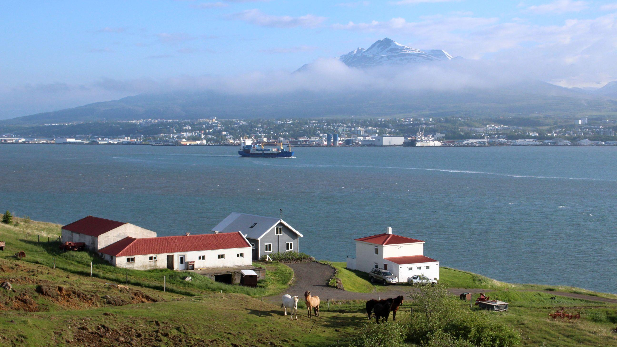 Blick auf Akureyri über den Fjord, Nordisland
